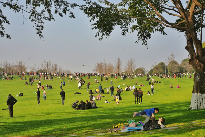 重慶中央公園，市民在草坪上曬太陽、放風箏。重慶日報.jpg