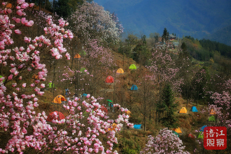 花溪景 謝江平.jpg